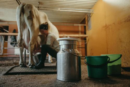 בית מלון כפרי Heidin Mummola Farm