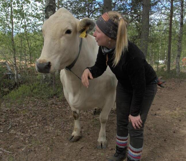 בית מלון כפרי Heidin Mummola Farm