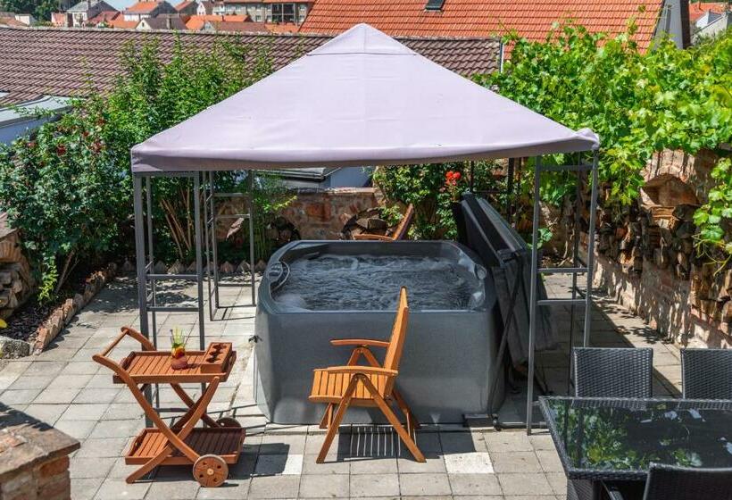 Mikulov   Inn   Hotel S Vinným Sklepem Venuše