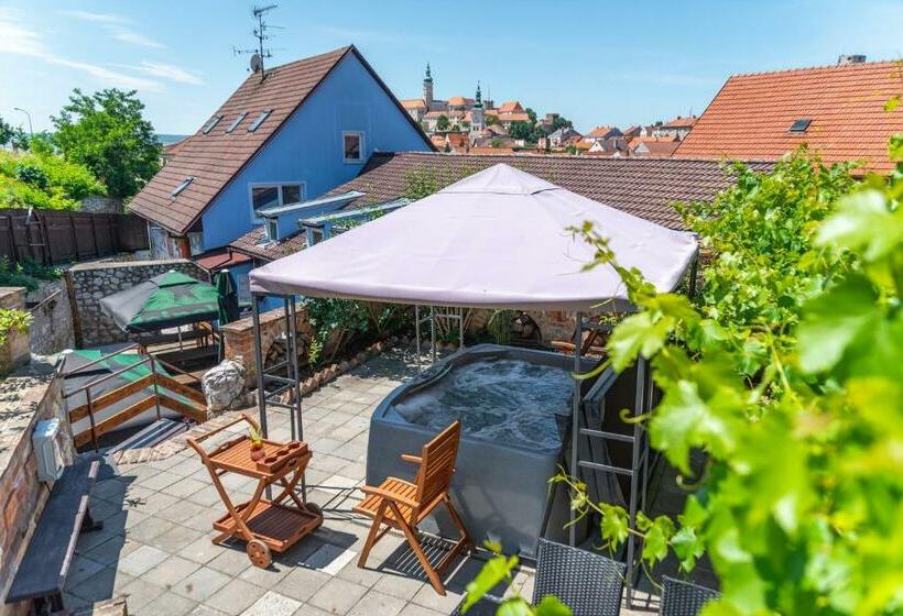 Mikulov   Inn   Hotel S Vinným Sklepem Venuše