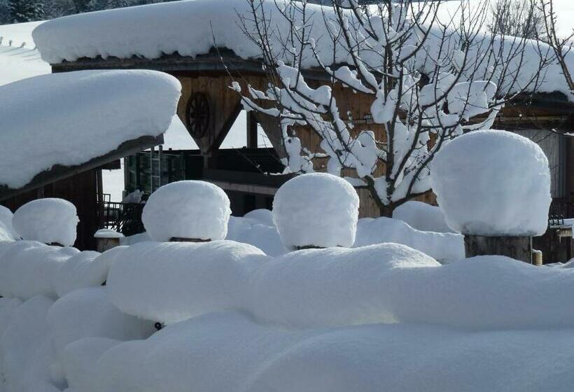 בית מלון כפרי Wiesingbauer