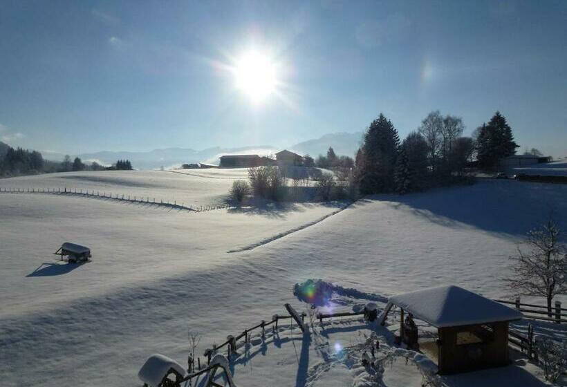 בית מלון כפרי Wiesingbauer