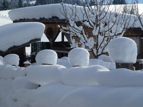 בית מלון כפרי Wiesingbauer