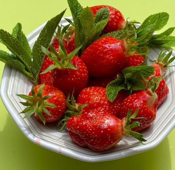 Le Relais Des Malettes Chambres D Hôtes B&b