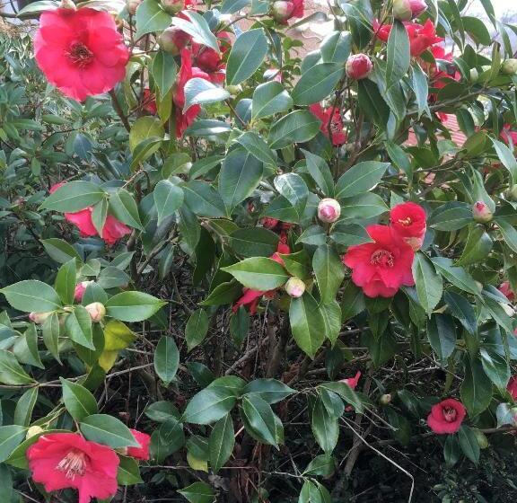 Le Relais Des Malettes Chambres D Hôtes B&b