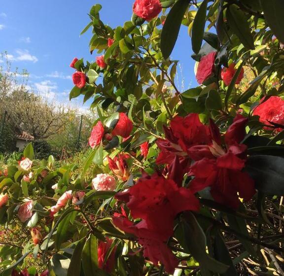 Le Relais Des Malettes Chambres D Hôtes B&b