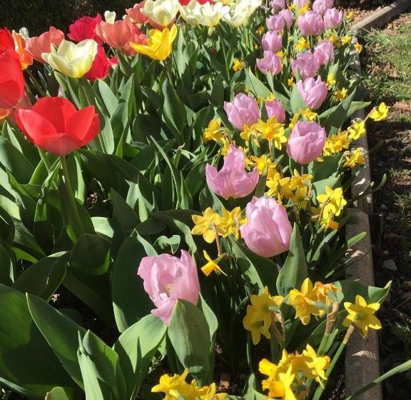 Le Relais Des Malettes Chambres D Hôtes B&b