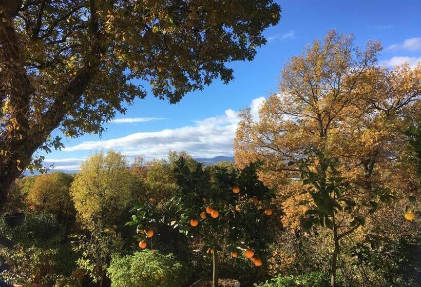 Le Relais Des Malettes Chambres D Hôtes B&b