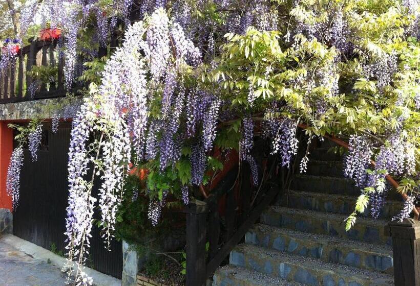 膳宿费 Agroturismo Izarre