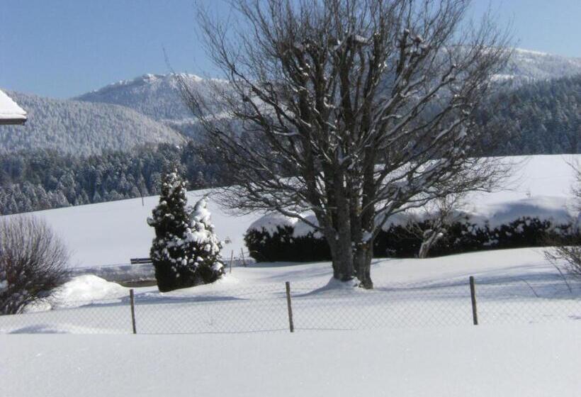 بنسيون Appartement De Vacances Niederer