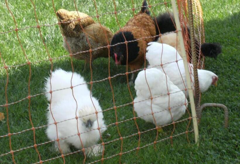 بنسيون Appartement De Vacances Niederer