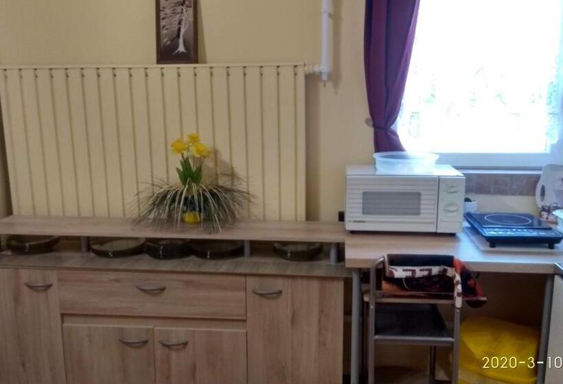 پانسیون Czakó Vendégház és Nyaralóudvar