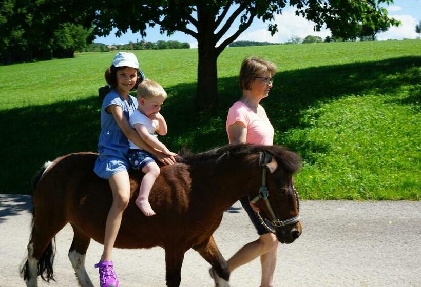 פנסיון Familienbauernhof Salmanner