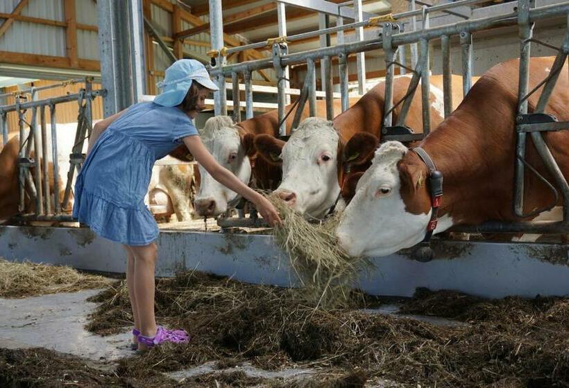 ペンション Familienbauernhof Salmanner