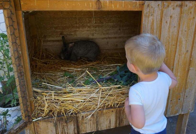 ペンション Familienbauernhof Salmanner