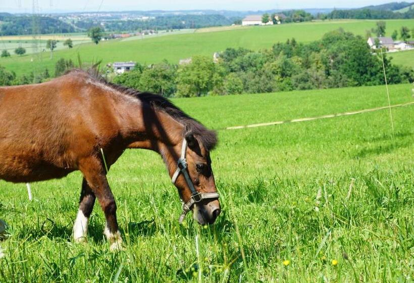 פנסיון Familienbauernhof Salmanner