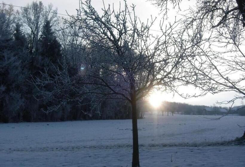 ペンション Familienbauernhof Salmanner