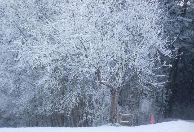 פנסיון Familienbauernhof Salmanner