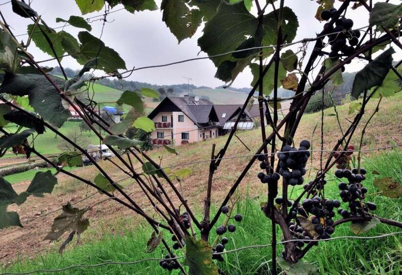 ペンション Gästehaus Anna