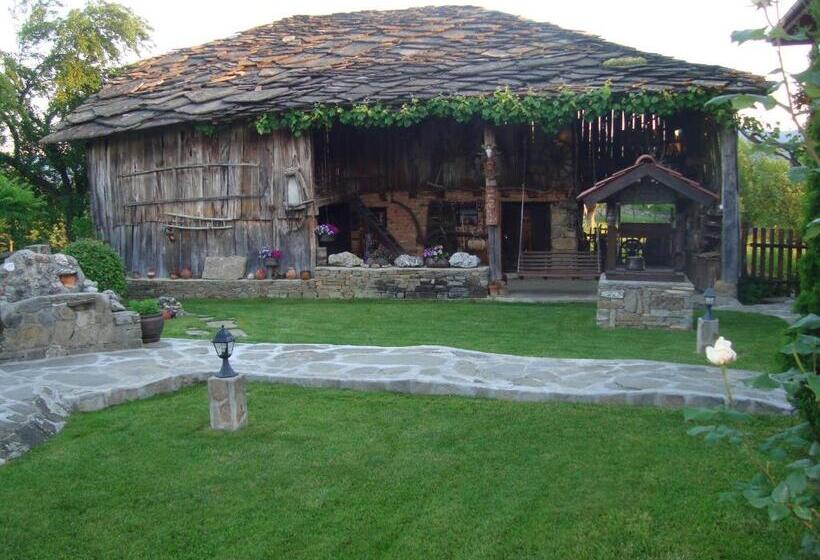 פנסיון Guest House Tsvetina