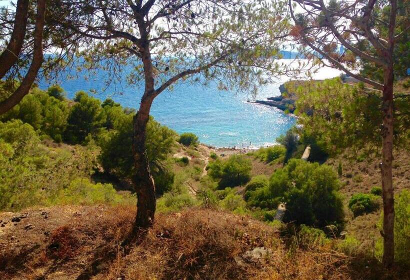 بنسيون Guesthouse Villa Altea