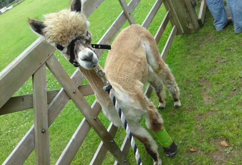 פנסיון Horsemanstone