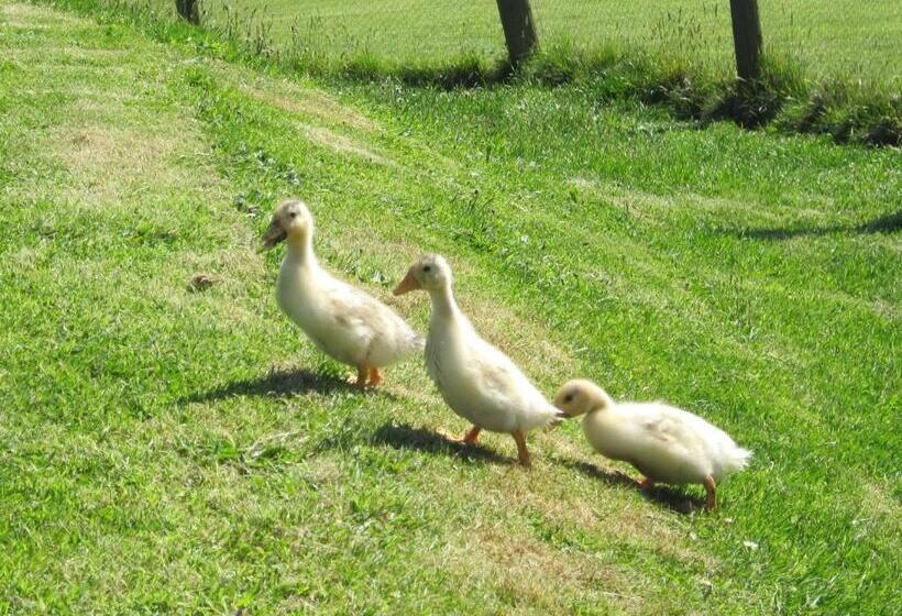 פנסיון Horsemanstone