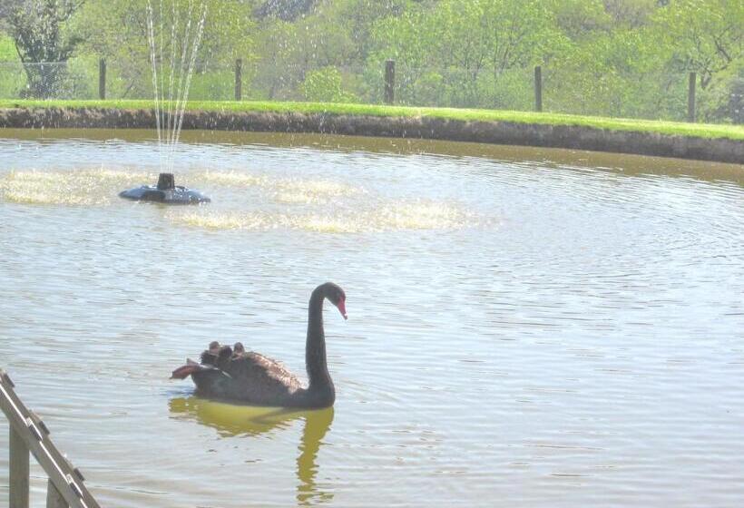 פנסיון Horsemanstone