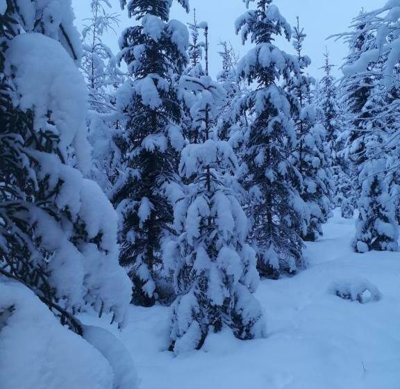 פנסיון Kinkamon Pirtti