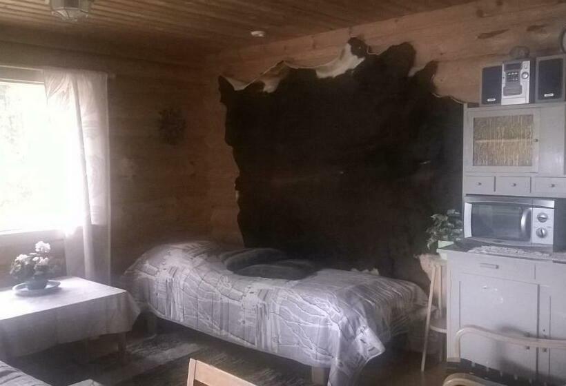 פנסיון Kinkamon Pirtti