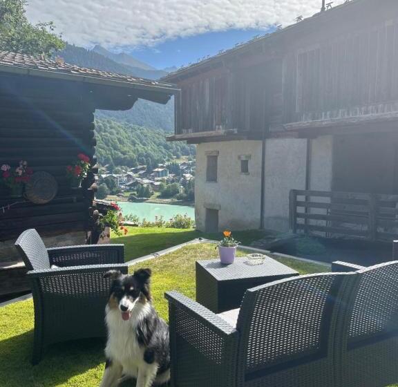 פנסיון L Abreny