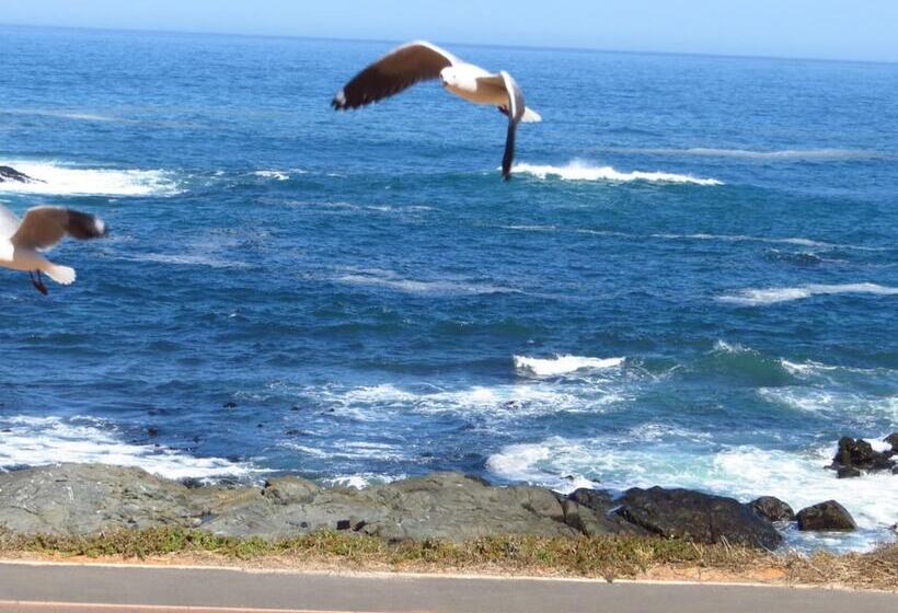 ペンション Lewens Essens On C