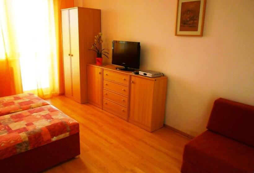 ペンション Penzion Fortuna Dudince