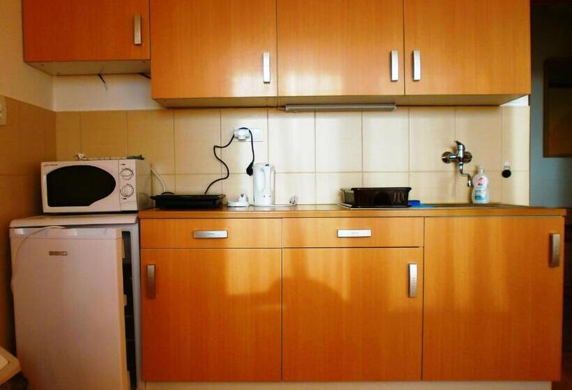 ペンション Penzion Fortuna Dudince