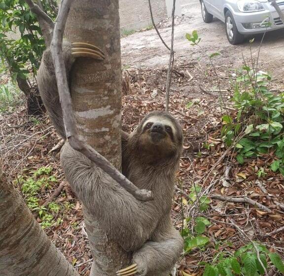 פנסיון Pousada Da Rose