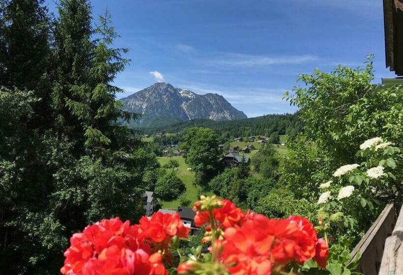 بنسيون Reitbauernhof Schartner