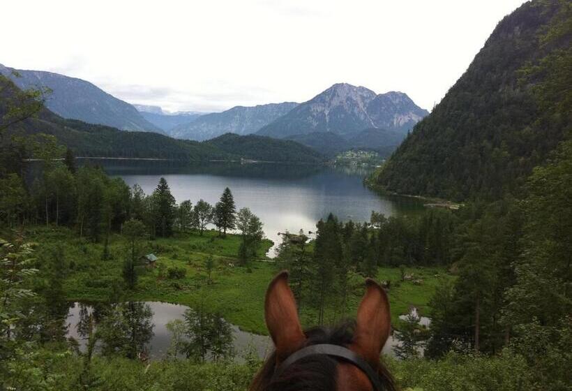 بنسيون Reitbauernhof Schartner