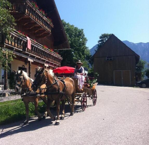 بنسيون Reitbauernhof Schartner