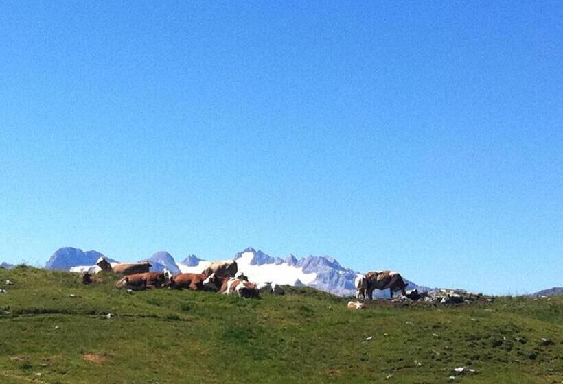 بنسيون Reitbauernhof Schartner