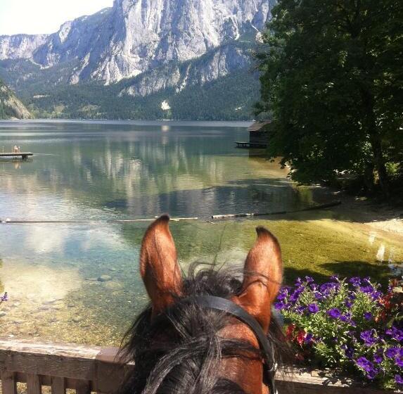 بنسيون Reitbauernhof Schartner