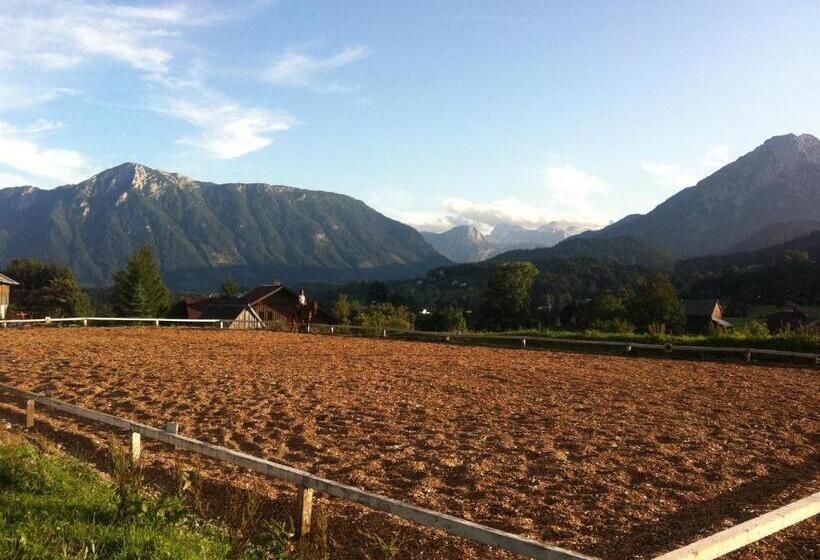 بنسيون Reitbauernhof Schartner