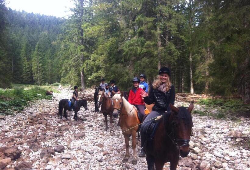 بنسيون Reitbauernhof Schartner