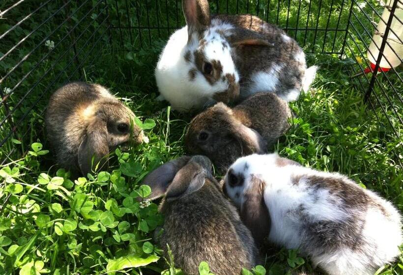 بنسيون Reitbauernhof Schartner