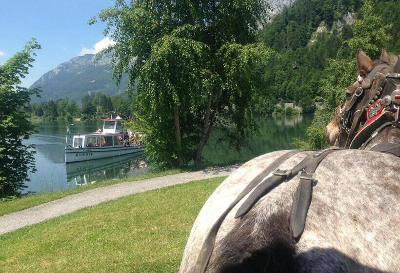 بنسيون Reitbauernhof Schartner