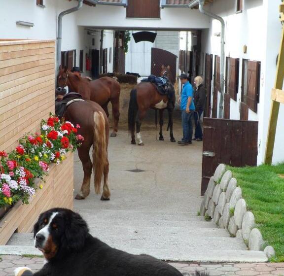 Пансион Reiterhof Sonja