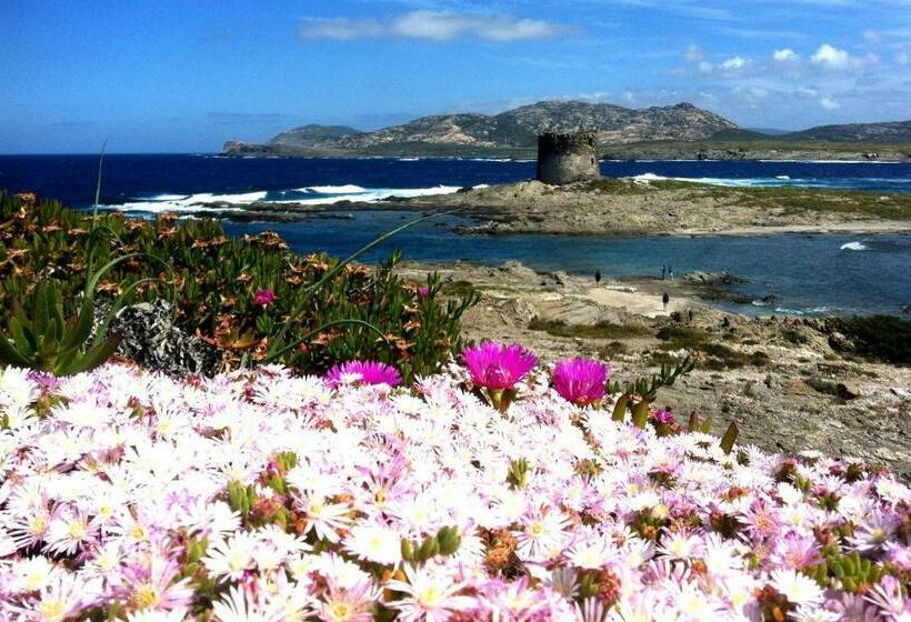 بنسيون Velalatina