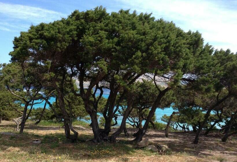 بنسيون Velalatina