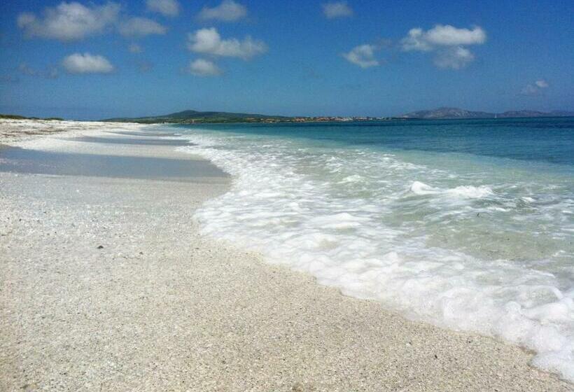 بنسيون Velalatina