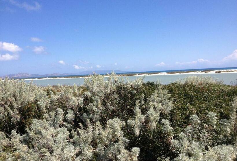 بنسيون Velalatina