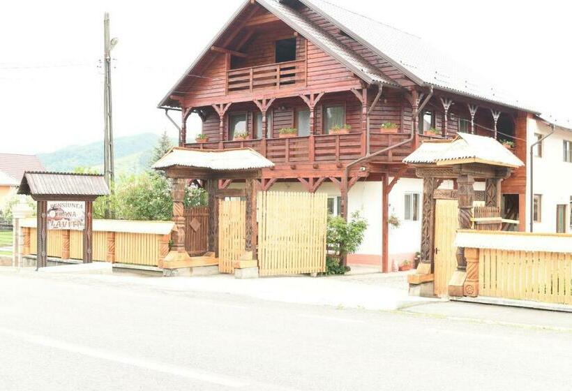 Pension Ioana Lavita